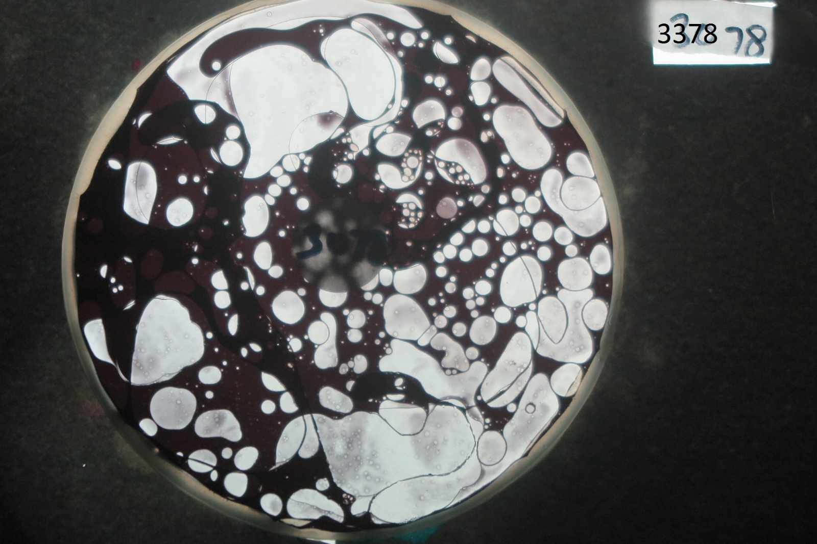 BV3378 bubble vision oil wheel